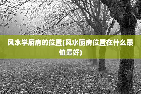 风水学厨房的位置(风水厨房位置在什么最值最好)