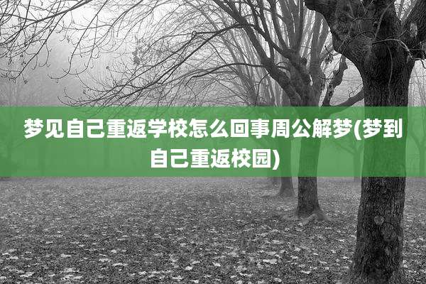 梦见自己重返学校怎么回事周公解梦(梦到自己重返校园)