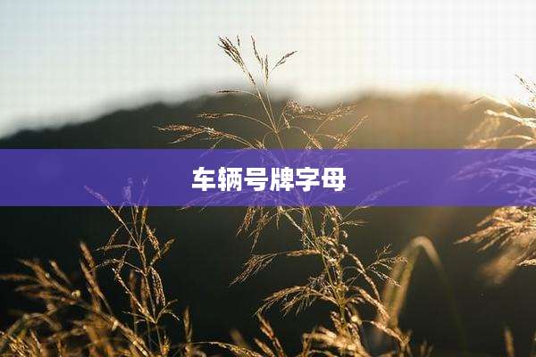 车辆号牌字母