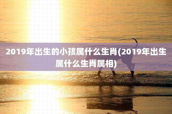 2019年出生的小孩属什么生肖(2019年出生属什么生肖属相)