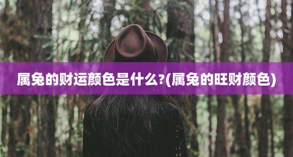 属兔的财运颜色是什么?(属兔的旺财颜色)