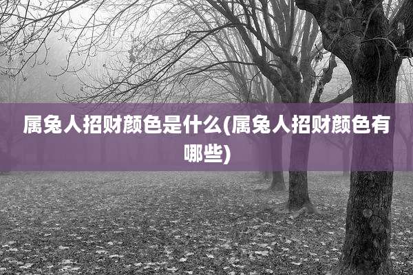 属兔人招财颜色是什么(属兔人招财颜色有哪些)
