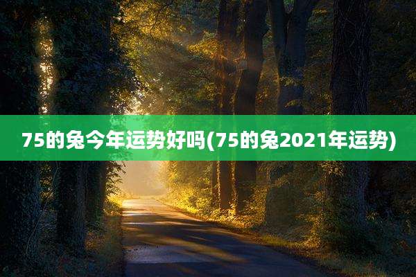 75的兔今年运势好吗(75的兔2021年运势)
