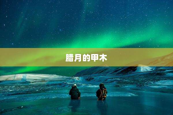 腊月的甲木