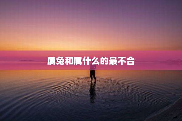 属兔和属什么的最不合