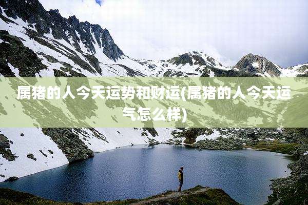 属猪的人今天运势和财运(属猪的人今天运气怎么样)