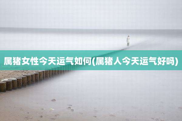 属猪女性今天运气如何(属猪人今天运气好吗)