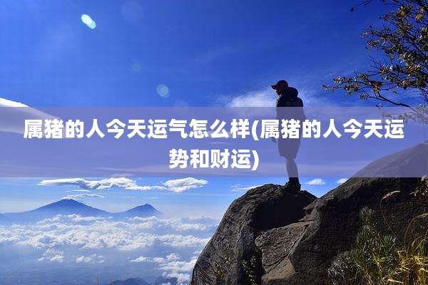 属猪的人今天运气怎么样(属猪的人今天运势和财运)