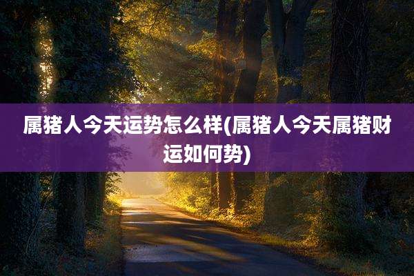 属猪人今天运势怎么样(属猪人今天属猪财运如何势)