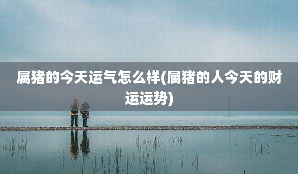 属猪的今天运气怎么样(属猪的人今天的财运运势)