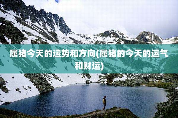 属猪今天的运势和方向(属猪的今天的运气和财运)
