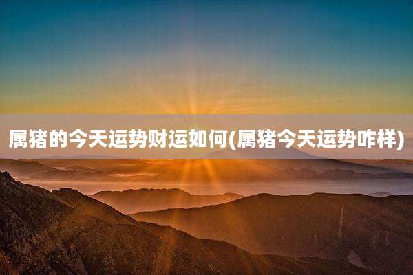 属猪的今天运势财运如何(属猪今天运势咋样)