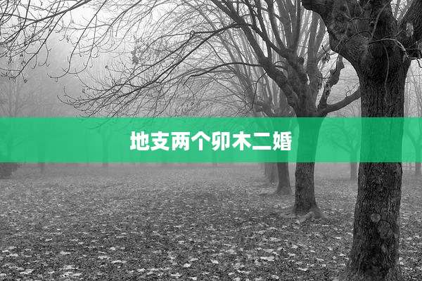 地支两个卯木二婚