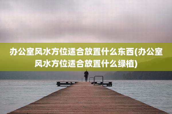 办公室风水方位适合放置什么东西(办公室风水方位适合放置什么绿植)
