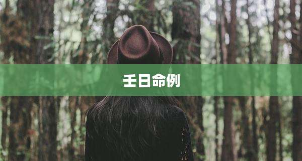 壬日命例