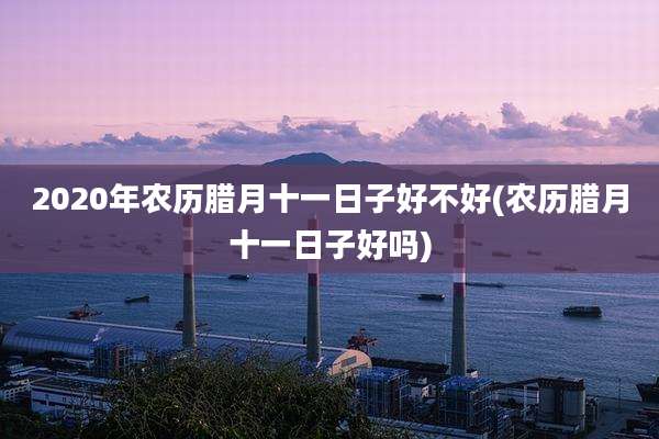 2020年农历腊月十一日子好不好(农历腊月十一日子好吗)