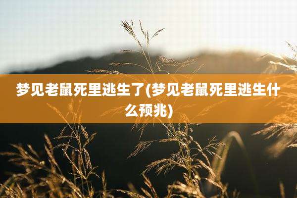梦见老鼠死里逃生了(梦见老鼠死里逃生什么预兆)