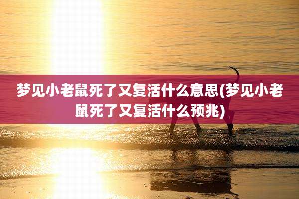 梦见小老鼠死了又复活什么意思(梦见小老鼠死了又复活什么预兆)