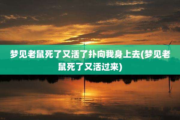 梦见老鼠死了又活了扑向我身上去(梦见老鼠死了又活过来)