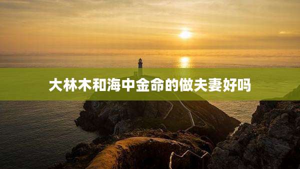 大林木和海中金命的做夫妻好吗