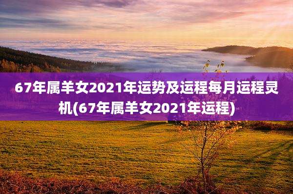 67年属羊女2021年运势及运程每月运程灵机(67年属羊女2021年运程)