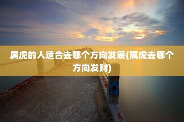 属虎的人适合去哪个方向发展(属虎去哪个方向发财)