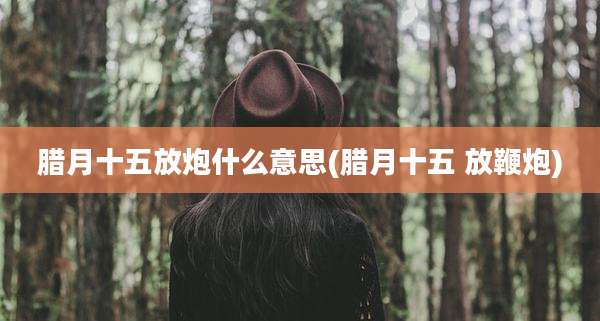 腊月十五放炮什么意思(腊月十五 放鞭炮)