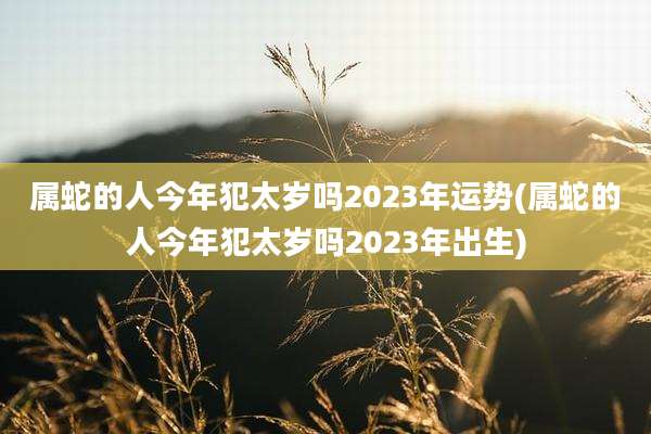 属蛇的人今年犯太岁吗2023年运势(属蛇的人今年犯太岁吗2023年出生)