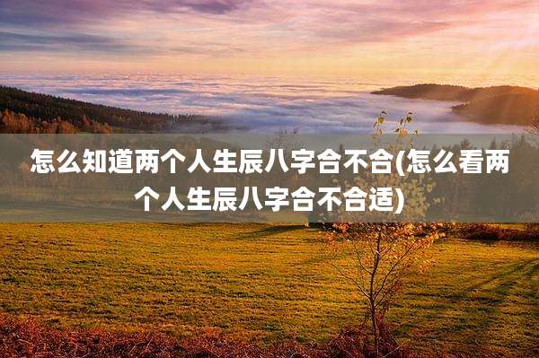 怎么知道两个人生辰八字合不合(怎么看两个人生辰八字合不合适)