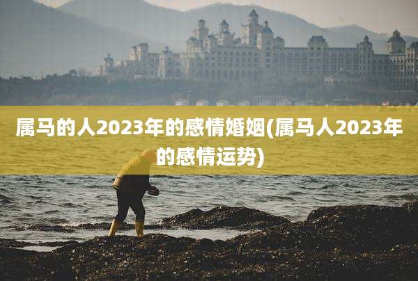 属马的人2023年的感情婚姻(属马人2023年的感情运势)