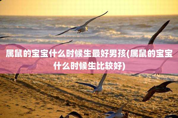 属鼠的宝宝什么时候生最好男孩(属鼠的宝宝什么时候生比较好)