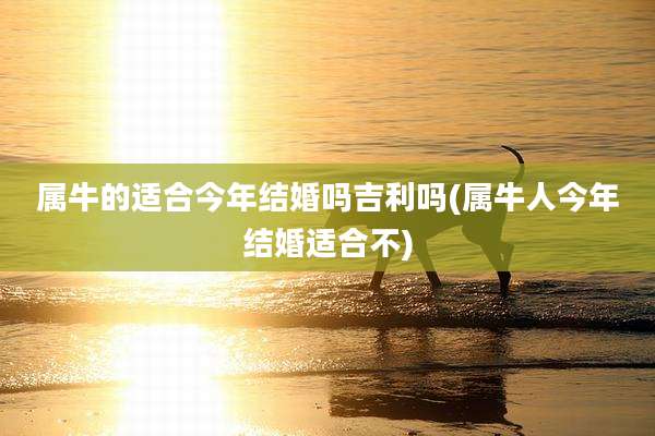 属牛的适合今年结婚吗吉利吗(属牛人今年结婚适合不)