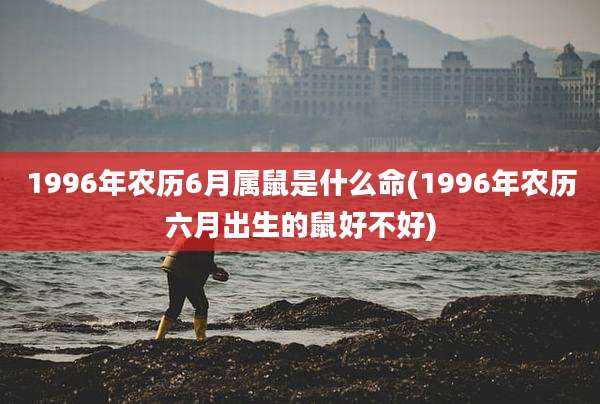 1996年农历6月属鼠是什么命(1996年农历六月出生的鼠好不好)