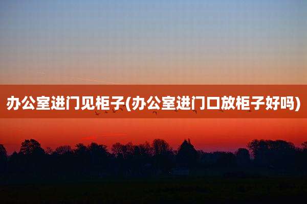 办公室进门见柜子(办公室进门口放柜子好吗)