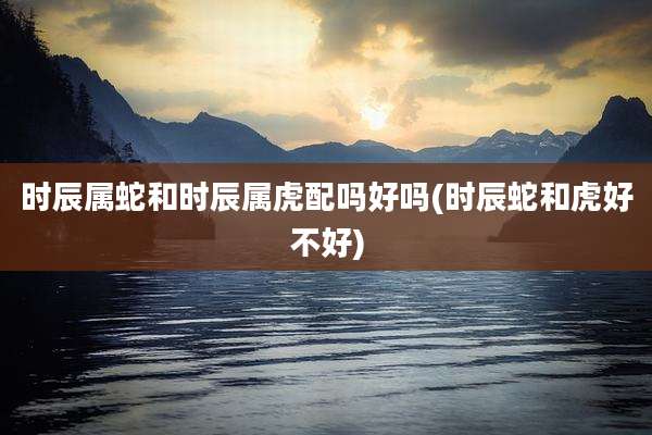 时辰属蛇和时辰属虎配吗好吗(时辰蛇和虎好不好)