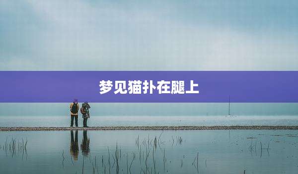 梦见猫扑在腿上
