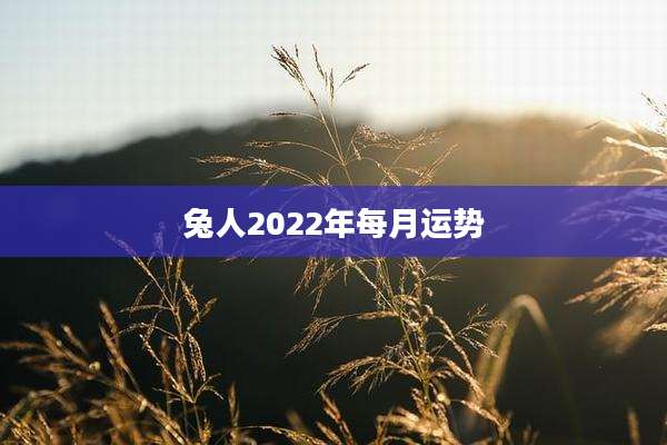 兔人2022年每月运势