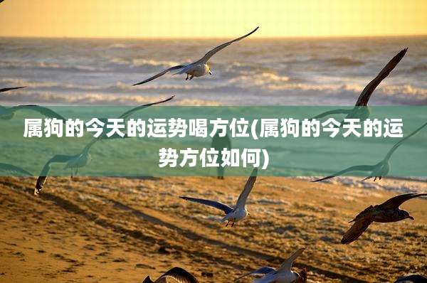 属狗的今天的运势喝方位(属狗的今天的运势方位如何)