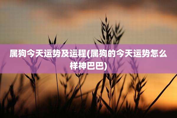 属狗今天运势及运程(属狗的今天运势怎么样神巴巴)