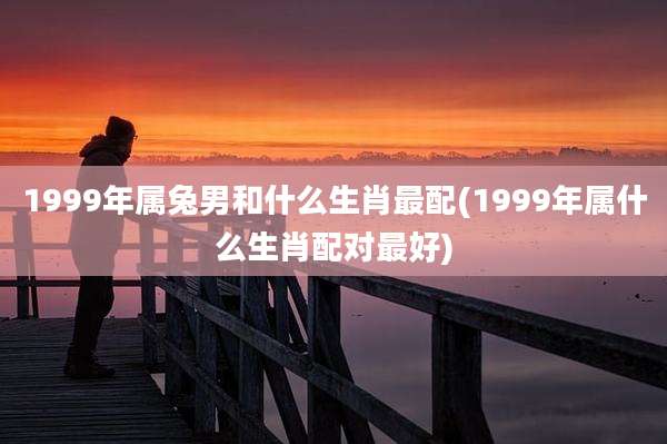 1999年属兔男和什么生肖最配(1999年属什么生肖配对最好)