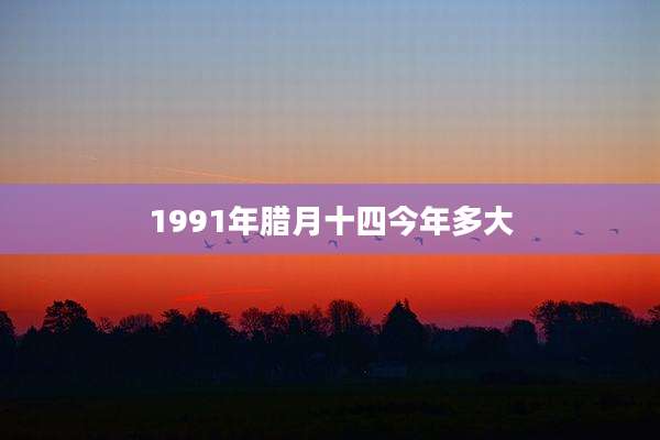 1991年腊月十四今年多大