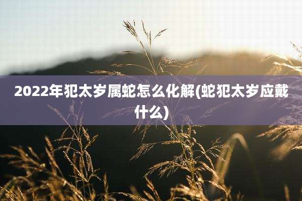 2022年犯太岁属蛇怎么化解(蛇犯太岁应戴什么)