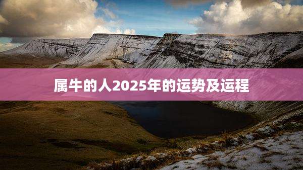 属牛的人2025年的运势及运程