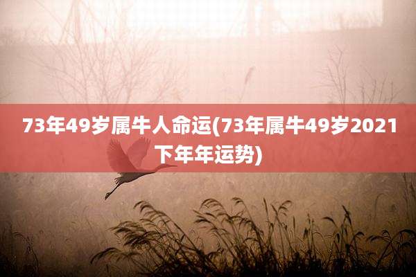 73年49岁属牛人命运(73年属牛49岁2021下年年运势)