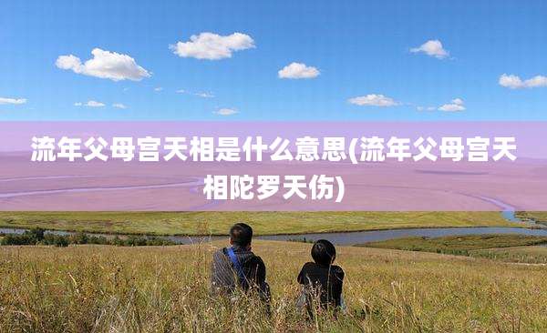 流年父母宫天相是什么意思(流年父母宫天相陀罗天伤)