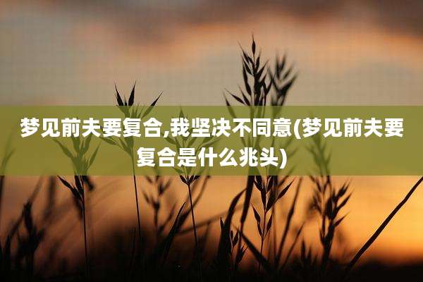 梦见前夫要复合,我坚决不同意(梦见前夫要复合是什么兆头)