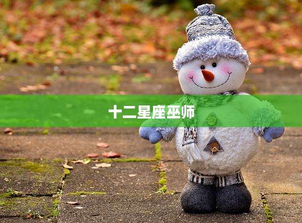 十二星座巫师