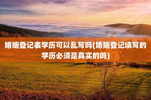 婚姻登记表学历可以乱写吗(婚姻登记填写的学历必须是真实的吗)