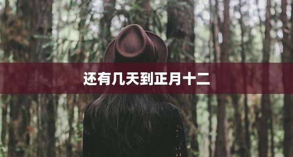 还有几天到正月十二