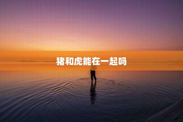 猪和虎能在一起吗